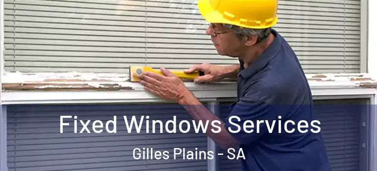 Fixed Windows Services Gilles Plains - SA
