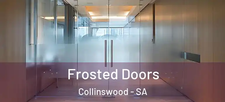 Frosted Doors Collinswood - SA