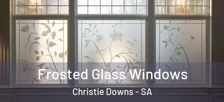  Frosted Glass Windows Christie Downs - SA