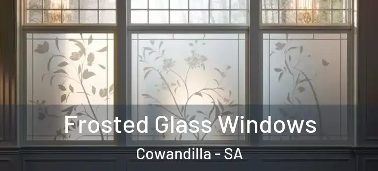  Frosted Glass Windows Cowandilla - SA
