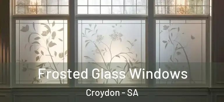 Frosted Glass Windows Croydon - SA