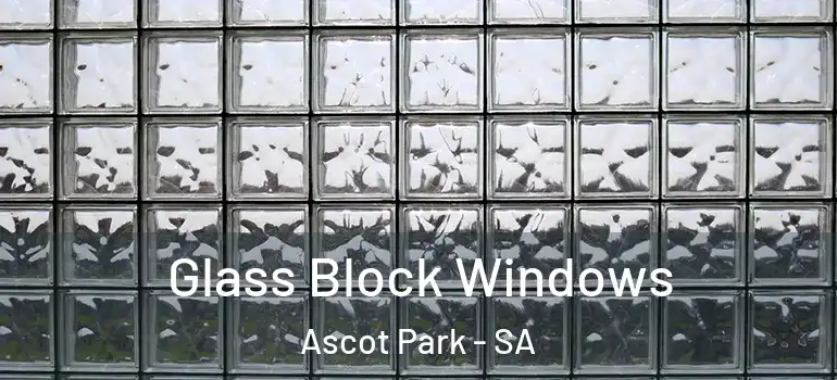 Glass Block Windows Ascot Park - SA
