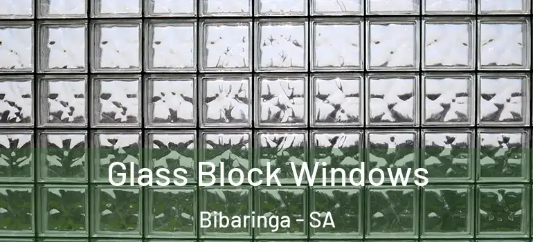 Glass Block Windows Bibaringa - SA