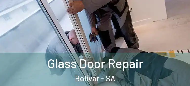 Glass Door Repair Bolivar - SA
