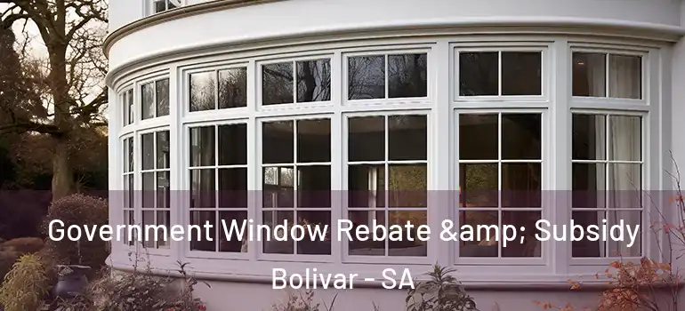 Government Window Rebate & Subsidy Bolivar - SA