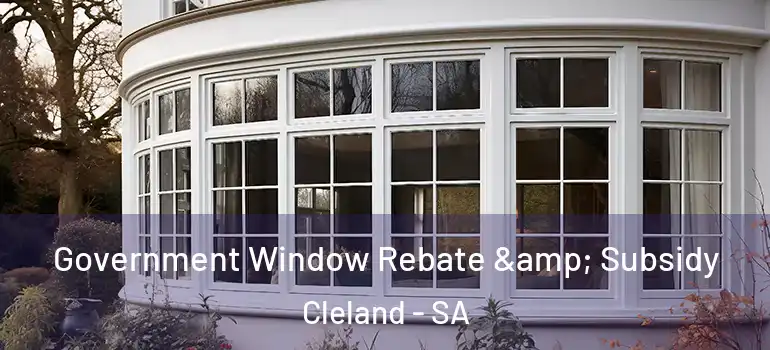  Government Window Rebate & Subsidy Cleland - SA