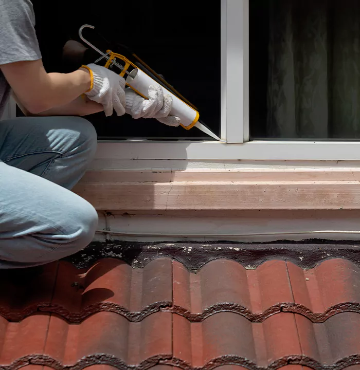 Roof Window Services in Adelaide, South Australia