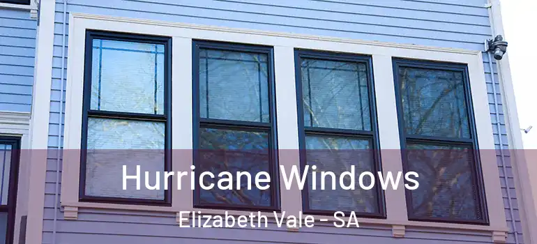 Hurricane Windows Elizabeth Vale - SA