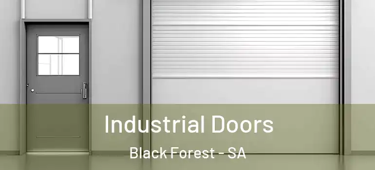 Industrial Doors Black Forest - SA