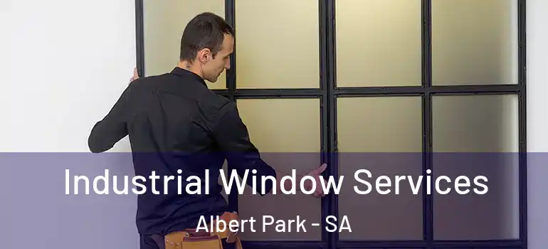 Industrial Window Services Albert Park - SA