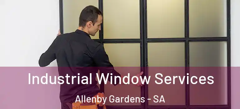 Industrial Window Services Allenby Gardens - SA