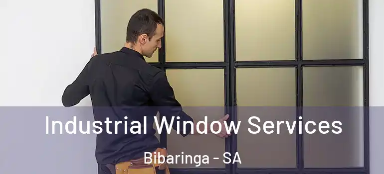 Industrial Window Services Bibaringa - SA