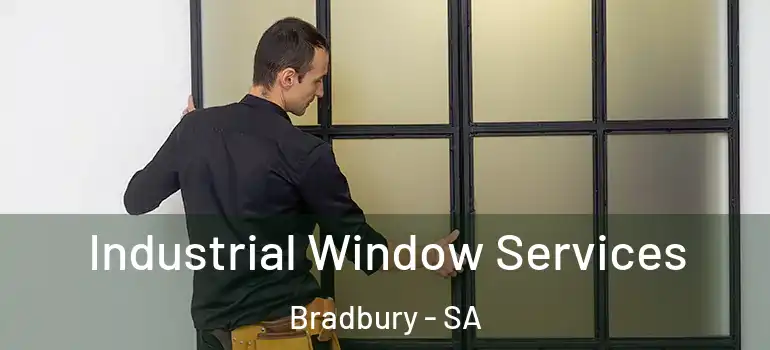 Industrial Window Services Bradbury - SA