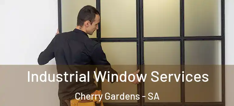 Industrial Window Services Cherry Gardens - SA