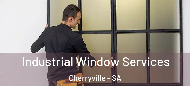  Industrial Window Services Cherryville - SA