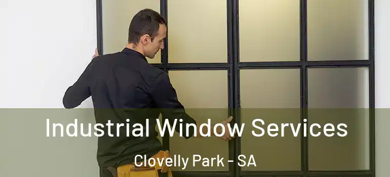 Industrial Window Services Clovelly Park - SA