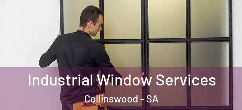 Industrial Window Services Collinswood - SA
