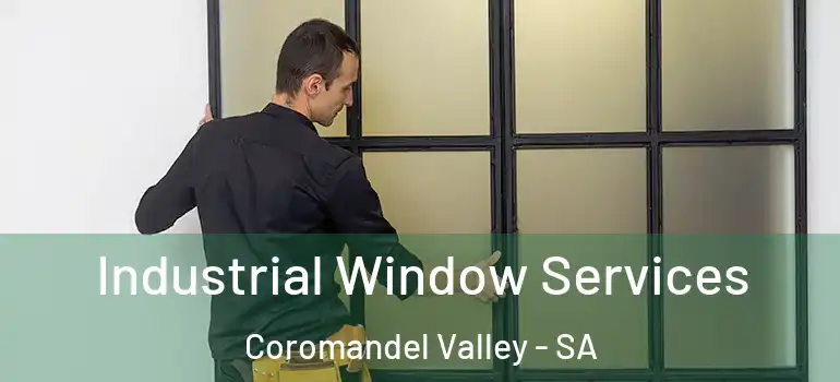  Industrial Window Services Coromandel Valley - SA