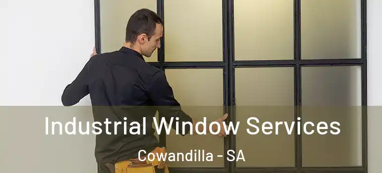 Industrial Window Services Cowandilla - SA