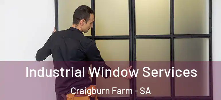 Industrial Window Services Craigburn Farm - SA
