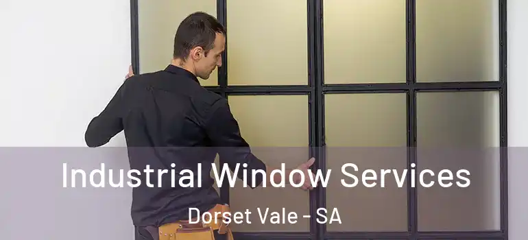 Industrial Window Services Dorset Vale - SA