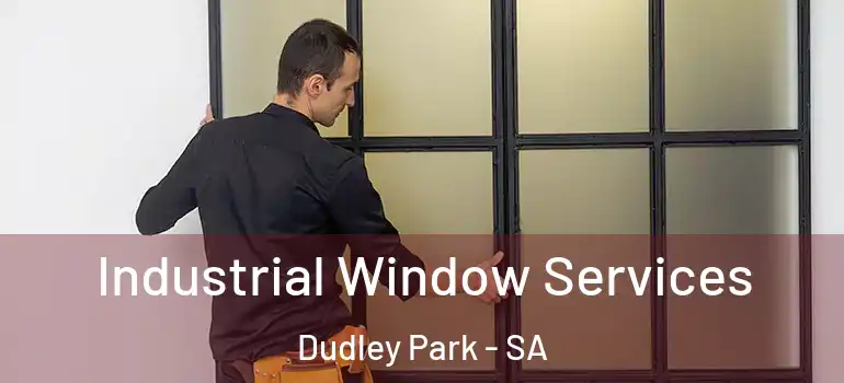  Industrial Window Services Dudley Park - SA