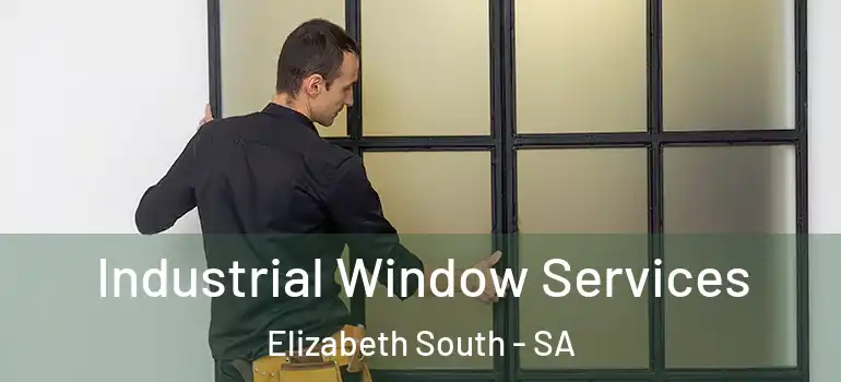Industrial Window Services Elizabeth South - SA