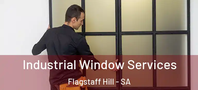 Industrial Window Services Flagstaff Hill - SA