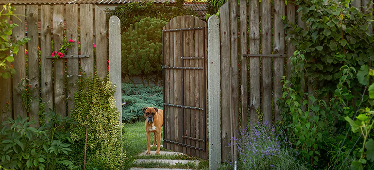 Winter Garden Garage Door Repair in Adelaide,South Australia