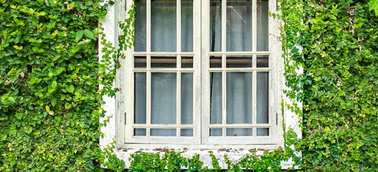 Garden Window Repair Near Me in Adelaide, SA