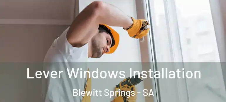 Lever Windows Installation Blewitt Springs - SA