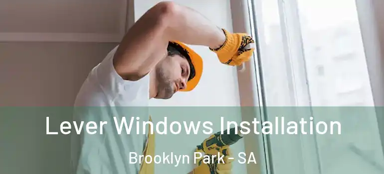 Lever Windows Installation Brooklyn Park - SA