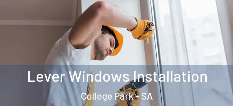 Lever Windows Installation College Park - SA