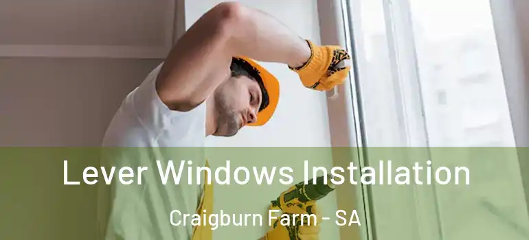 Lever Windows Installation Craigburn Farm - SA