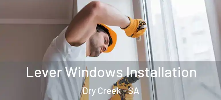 Lever Windows Installation Dry Creek - SA