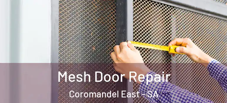 Mesh Door Repair Coromandel East - SA