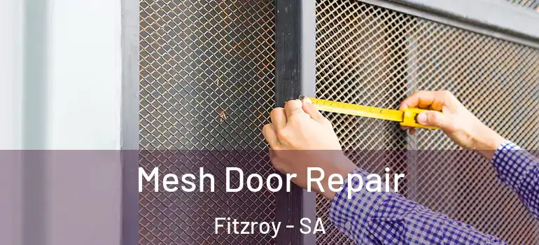 Mesh Door Repair Fitzroy - SA
