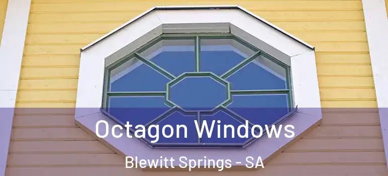 Octagon Windows Blewitt Springs - SA