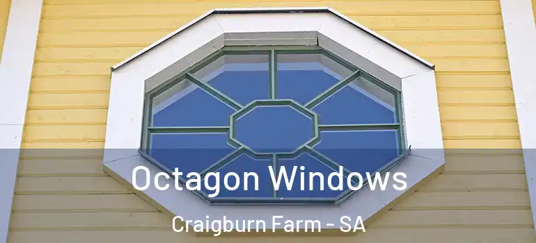 Octagon Windows Craigburn Farm - SA