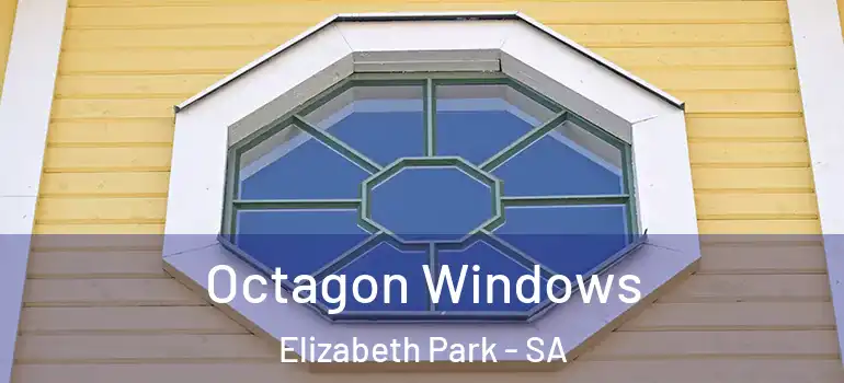 Octagon Windows Elizabeth Park - SA
