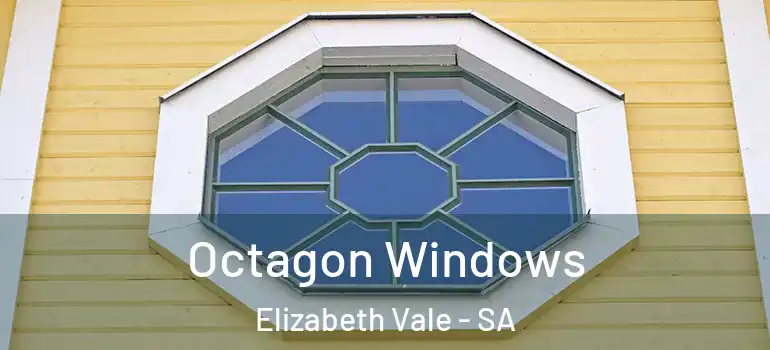 Octagon Windows Elizabeth Vale - SA