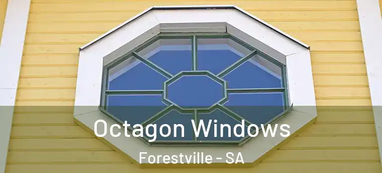  Octagon Windows Forestville - SA