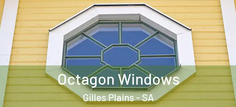 Octagon Windows Gilles Plains - SA