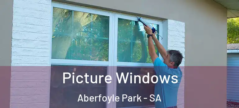 Picture Windows Aberfoyle Park - SA