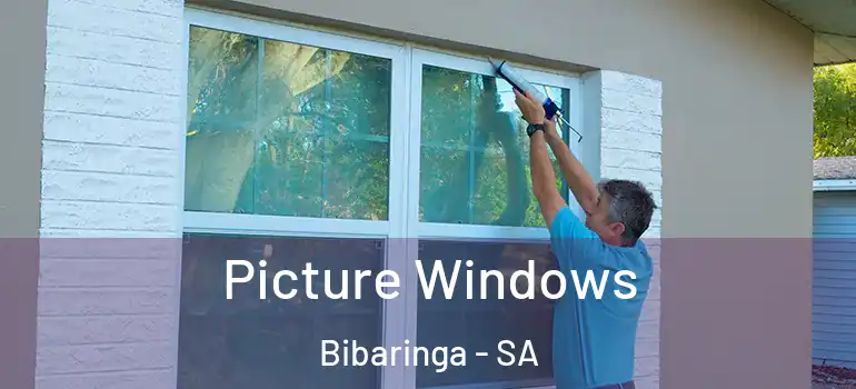 Picture Windows Bibaringa - SA