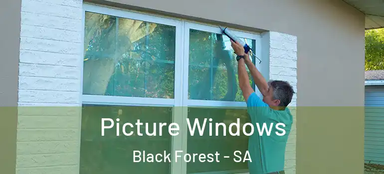 Picture Windows Black Forest - SA