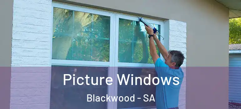  Picture Windows Blackwood - SA