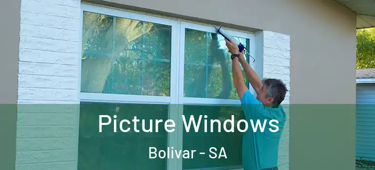 Picture Windows Bolivar - SA