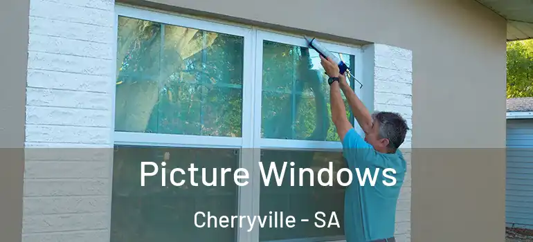 Picture Windows Cherryville - SA