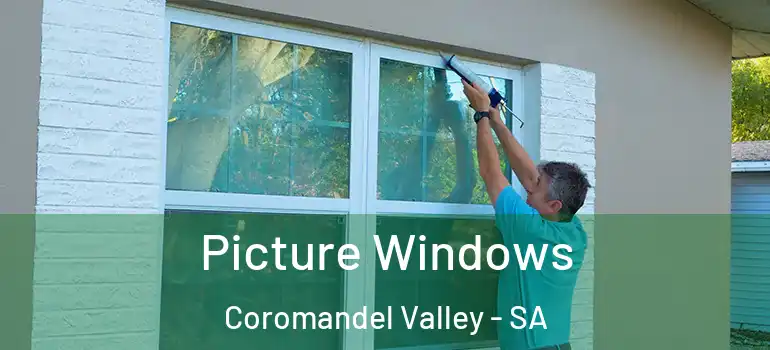 Picture Windows Coromandel Valley - SA